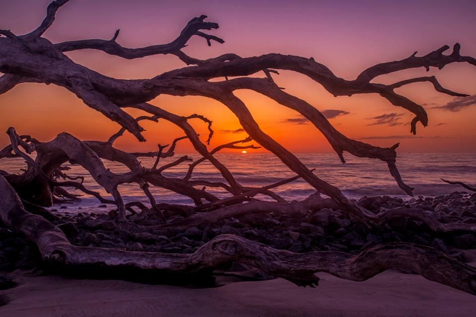 Jekyll Island Sunrise Shutterbug